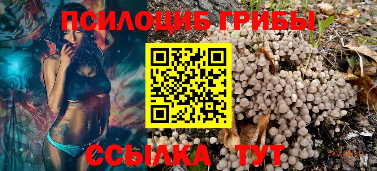 цены наркотик  Галлюциногенные грибы ЛСД  Вход с VPN  Тихвин  Псилоцибиновые грибы прущие грибы 
