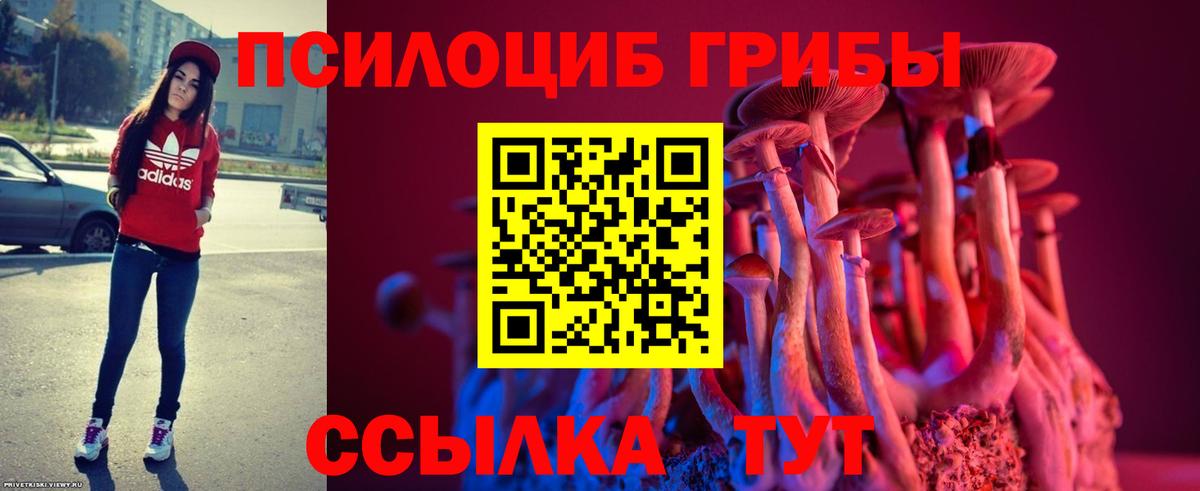 Галлюциногенные грибы MAGIC MUSHROOMS Тихвин